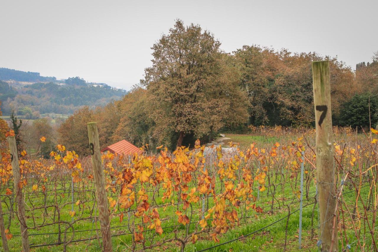 Quinta Pousada De Fora Wines & Tourism Guimarães Esterno foto