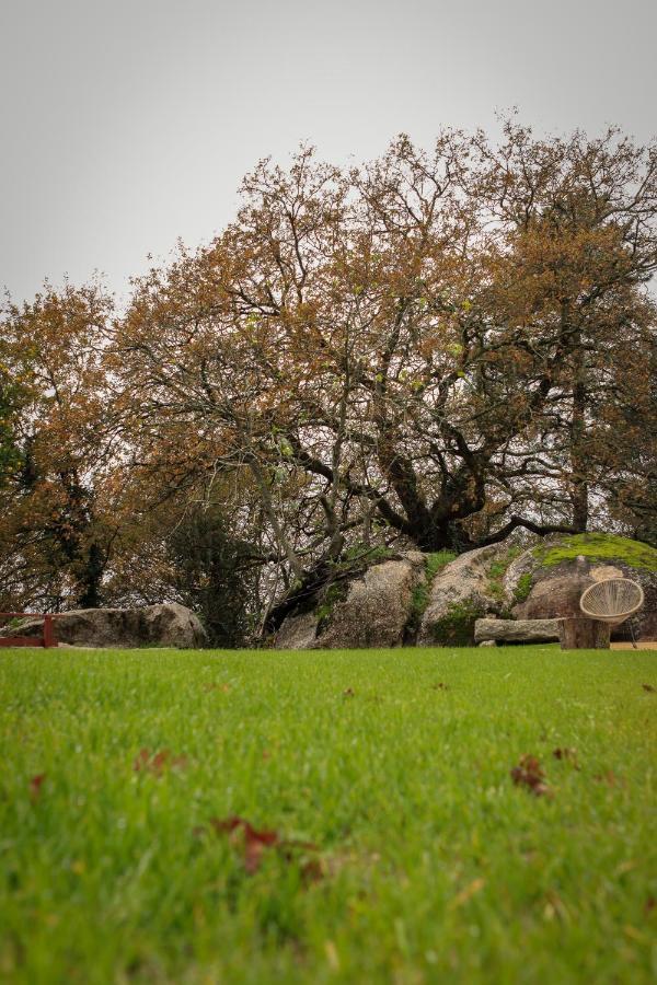 Quinta Pousada De Fora Wines & Tourism Guimarães Esterno foto