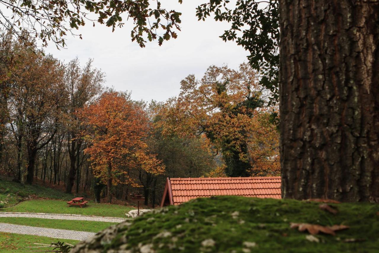 Quinta Pousada De Fora Wines & Tourism Guimarães Esterno foto