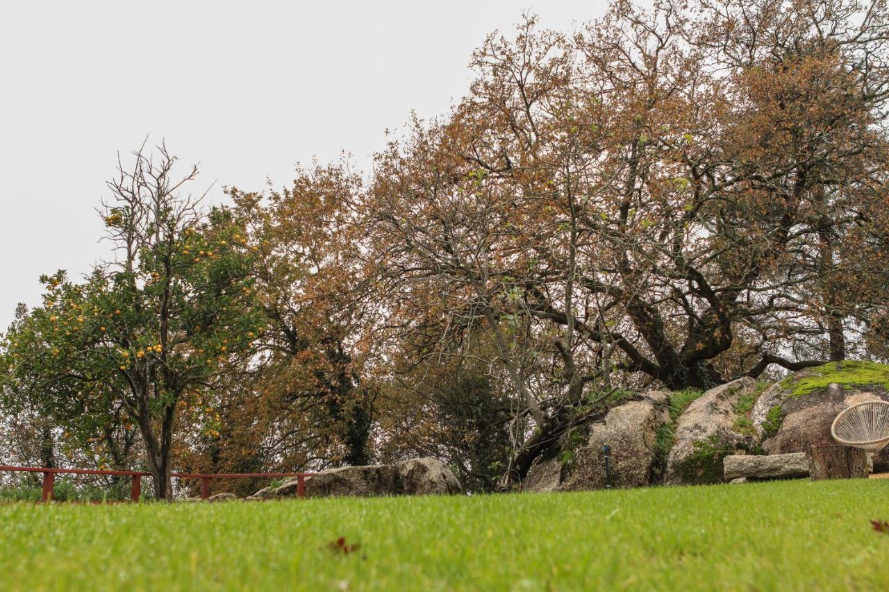 Quinta Pousada De Fora Wines & Tourism Guimarães Esterno foto