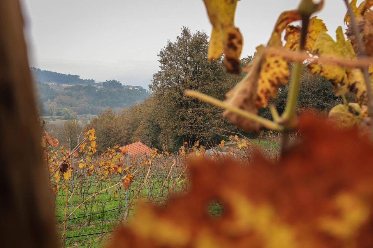 Quinta Pousada De Fora Wines & Tourism Guimarães Esterno foto