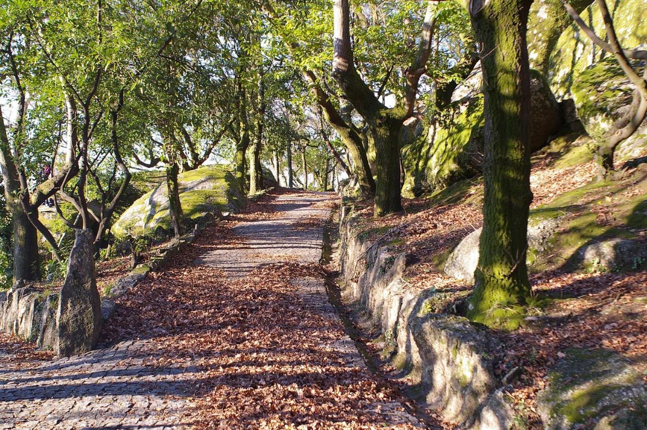Quinta Pousada De Fora Wines & Tourism Guimarães Esterno foto